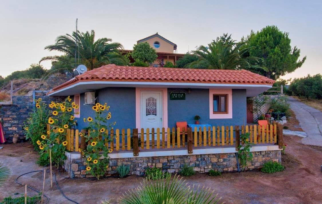 Villa Pelegrines V. Palekastro Exterior foto